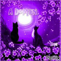 A Demain les chatons Animated GIF