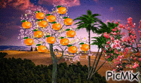 Fruit Tree - GIF animasi gratis
