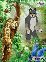 Werewolf in the Jungle