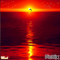 Coucher de Soleil - Free animated GIF