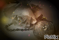 rosa - tiempo - 免费动画 GIF