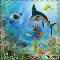 requin - Nemokamas animacinis gif