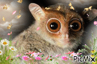animal e natureza - GIF animasi gratis