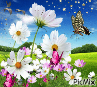 paisaje mariposas - Безплатен анимиран GIF