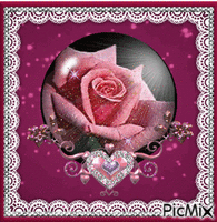 A singel pink rose. animasyonlu GIF