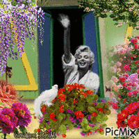 Marilyn Monroe par BBM GIF animasi