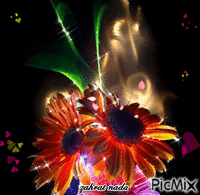 fleur - GIF animasi gratis