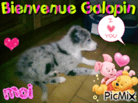 Bienvenue Galopin - GIF animé gratuit