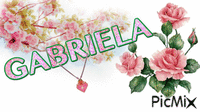 Gabriela Animated GIF