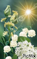 Collage floral GIF animé
