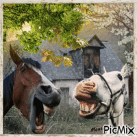LES CHEVAUX - Free animated GIF