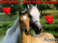 Konie - Bezmaksas animēts GIF