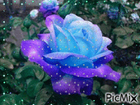 Rose - Ingyenes animált GIF