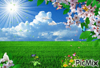 весна - 無料のアニメーション GIF