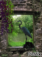 heron Animated GIF
