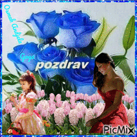 POZDRAV Animated GIF