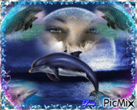 Les yeux sur les dauphins ♥♥♥ animovaný GIF
