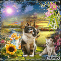 chat avec des fleurs - GIF animé gratuit