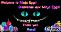 NinjaEggs - Bezmaksas animēts GIF
