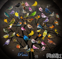 birds - GIF animado gratis