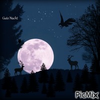 Gute Nacht Animated GIF