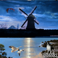 Concours "Moulin" - Free animated GIF