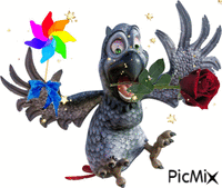 papoušek animovaný GIF