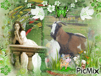 fleur la chèvre GIF animata