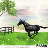 Dark Horse GIF animé