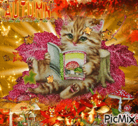 autumno Gif Animado