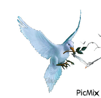 Benim PicMix - GIF animado gratis
