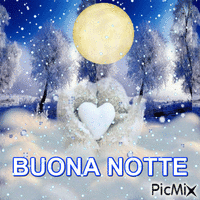 NOTTE Animated GIF