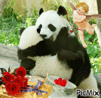 San Valentín de animales - GIF animé gratuit