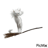 White cat on a broom animovaný GIF