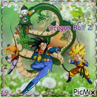 Dragon Ball Z GIF animé