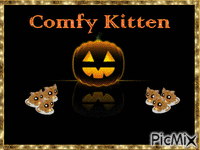 Comfy Kitten - Free animated GIF