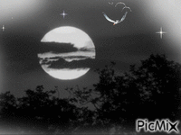 Mi luna - GIF animado gratis