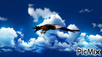 EAGLE - Zdarma animovaný GIF