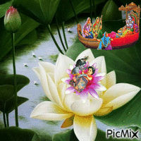Fleur de lotus - Free animated GIF