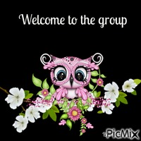welcome owl 动画 GIF