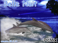 BELLE NUIT animovaný GIF