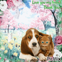 Love you my friend. Thank you. Dog and Cat - GIF animate gratis
