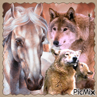 Loups et cheval GIF animé