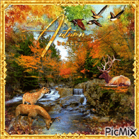Осенняя краса GIF animado
