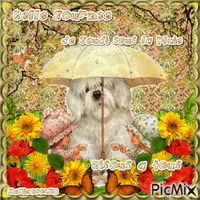 chien parapluie animowany gif