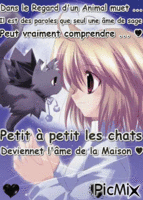 Citation pour Chats ♥ - Animovaný GIF zadarmo