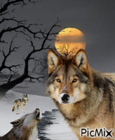 Tres lobos animovaný GIF