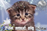 Smutny koteczek - Darmowy animowany GIF