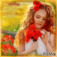 Sping poppies animerad GIF