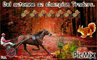 Le champion Traders. animeret GIF